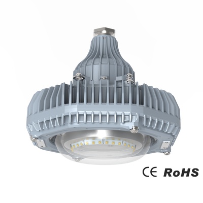 セリウムCertified 30W 45W 60W Manufacturing Plant Lighting Industrial Floodlight Led